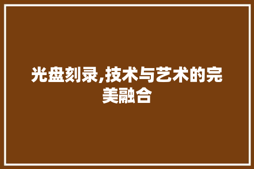 光盘刻录,技术与艺术的完美融合
