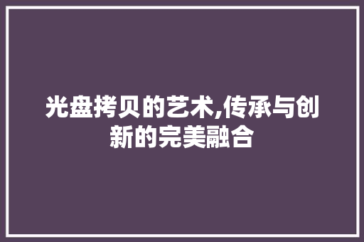 光盘拷贝的艺术,传承与创新的完美融合