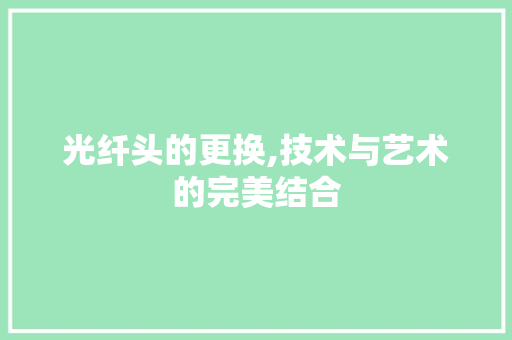 光纤头的更换,技术与艺术的完美结合