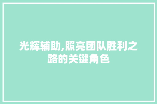 光辉辅助,照亮团队胜利之路的关键角色