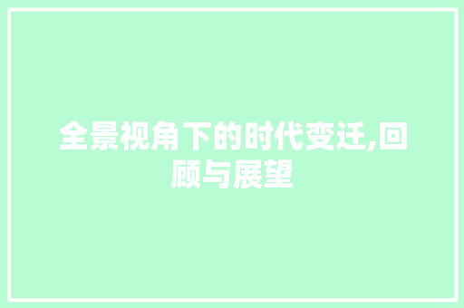 全景视角下的时代变迁,回顾与展望