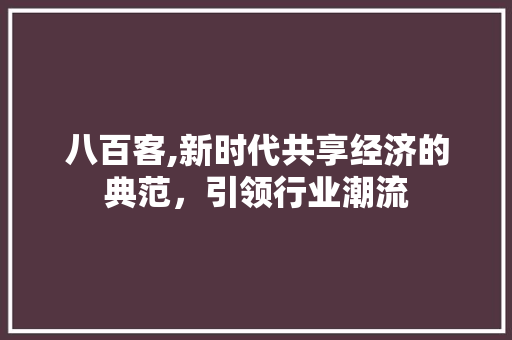 八百客,新时代共享经济的典范，引领行业潮流