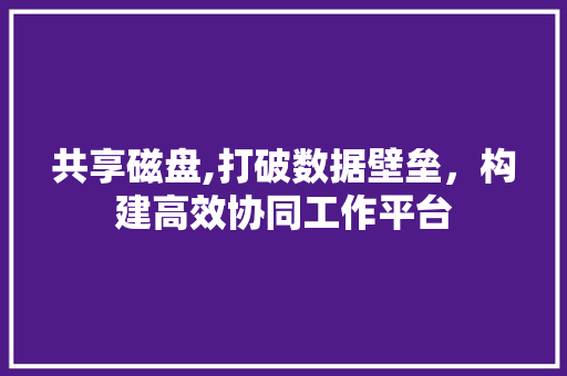 共享磁盘,打破数据壁垒，构建高效协同工作平台