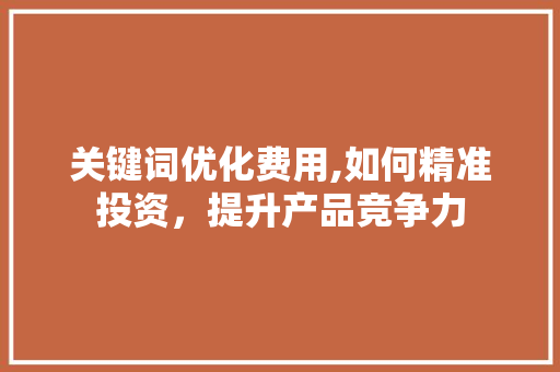 关键词优化费用,如何精准投资，提升产品竞争力