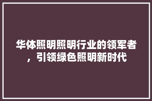 华体照明照明行业的领军者，引领绿色照明新时代