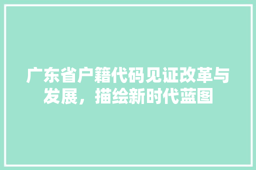 广东省户籍代码见证改革与发展，描绘新时代蓝图