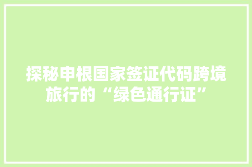探秘申根国家签证代码跨境旅行的“绿色通行证”