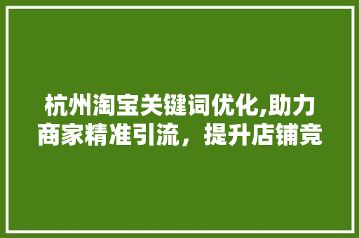 杭州淘宝关键词优化,助力商家精准引流，提升店铺竞争力