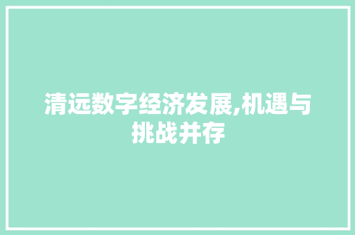 清远数字经济发展,机遇与挑战并存