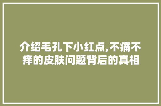 介绍毛孔下小红点,不痛不痒的皮肤问题背后的真相