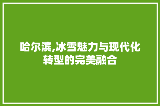 哈尔滨,冰雪魅力与现代化转型的完美融合