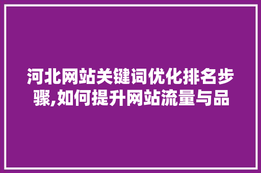 河北网站关键词优化排名步骤,如何提升网站流量与品牌影响力