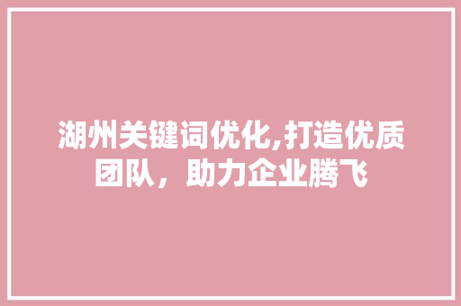 湖州关键词优化,打造优质团队，助力企业腾飞