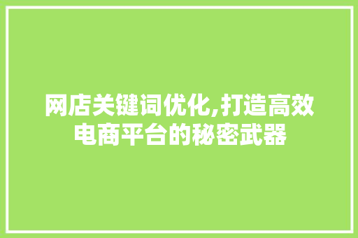 网店关键词优化,打造高效电商平台的秘密武器