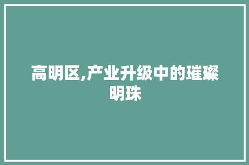 高明区,产业升级中的璀璨明珠