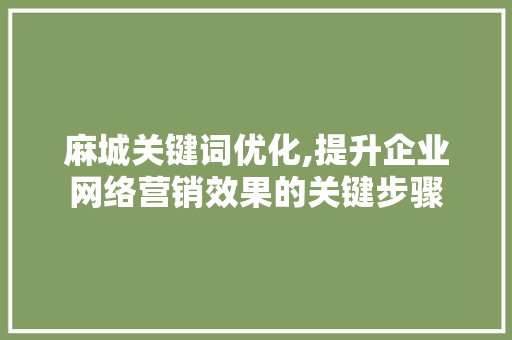 麻城关键词优化,提升企业网络营销效果的关键步骤