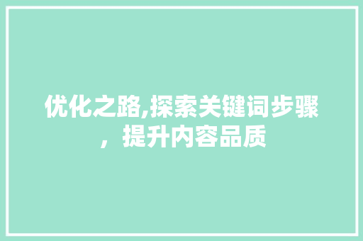 优化之路,探索关键词步骤，提升内容品质