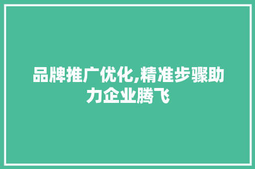 品牌推广优化,精准步骤助力企业腾飞