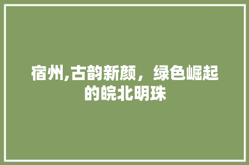 宿州,古韵新颜，绿色崛起的皖北明珠