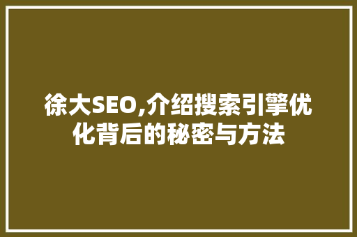 徐大SEO,介绍搜索引擎优化背后的秘密与方法
