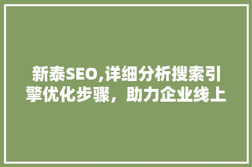 新泰SEO,详细分析搜索引擎优化步骤，助力企业线上崛起