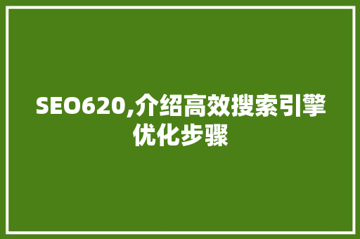 SEO620,介绍高效搜索引擎优化步骤