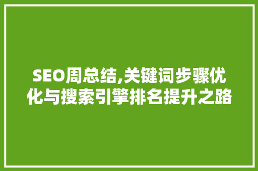 SEO周总结,关键词步骤优化与搜索引擎排名提升之路