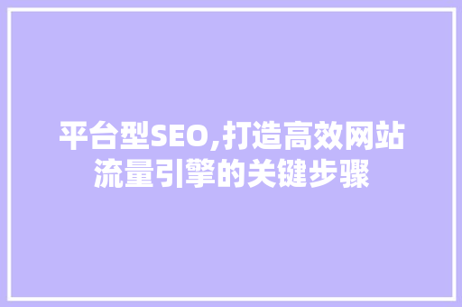 平台型SEO,打造高效网站流量引擎的关键步骤