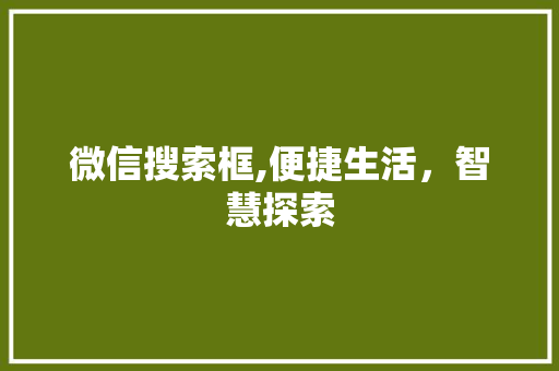 微信搜索框,便捷生活，智慧探索