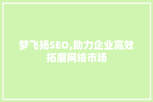 梦飞扬SEO,助力企业高效拓展网络市场