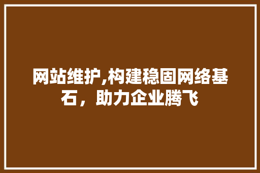 网站维护,构建稳固网络基石，助力企业腾飞