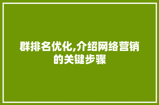 群排名优化,介绍网络营销的关键步骤