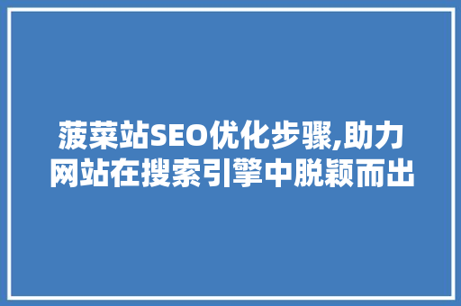 菠菜站SEO优化步骤,助力网站在搜索引擎中脱颖而出