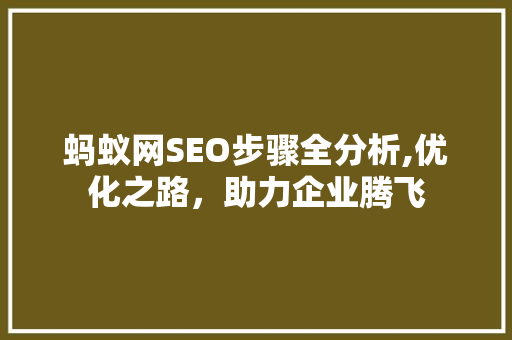 蚂蚁网SEO步骤全分析,优化之路，助力企业腾飞