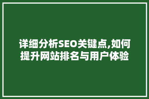 详细分析SEO关键点,如何提升网站排名与用户体验