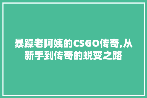 暴躁老阿姨的CSGO传奇,从新手到传奇的蜕变之路