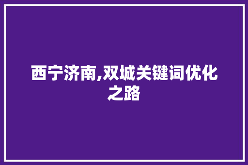 西宁济南,双城关键词优化之路