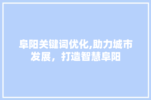 阜阳关键词优化,助力城市发展，打造智慧阜阳