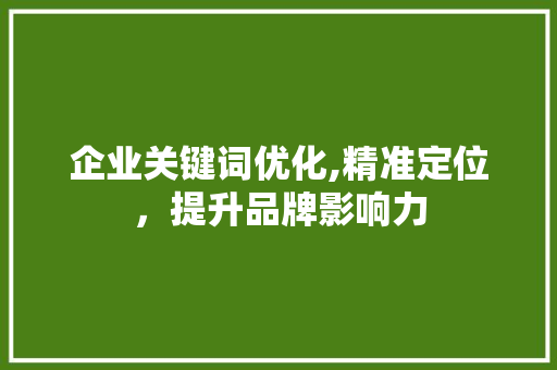 企业关键词优化,精准定位，提升品牌影响力