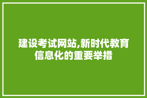 建设考试网站,新时代教育信息化的重要举措