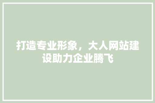 打造专业形象，大人网站建设助力企业腾飞
