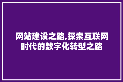 网站建设之路,探索互联网时代的数字化转型之路