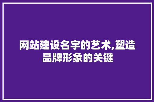 网站建设名字的艺术,塑造品牌形象的关键