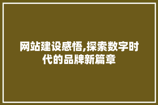网站建设感悟,探索数字时代的品牌新篇章