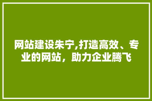 网站建设朱宁,打造高效、专业的网站，助力企业腾飞