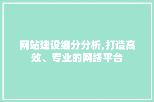 网站建设细分分析,打造高效、专业的网络平台