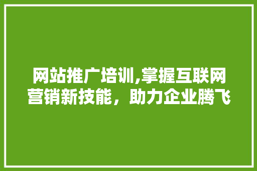 网站推广培训,掌握互联网营销新技能，助力企业腾飞