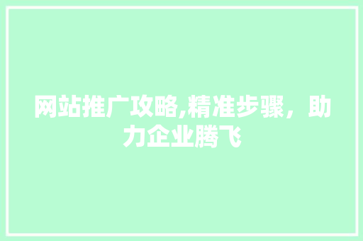 网站推广攻略,精准步骤，助力企业腾飞