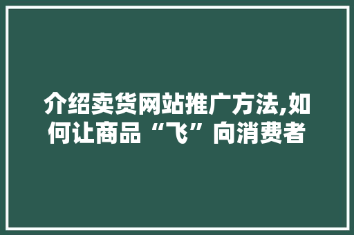 介绍卖货网站推广方法,如何让商品“飞”向消费者