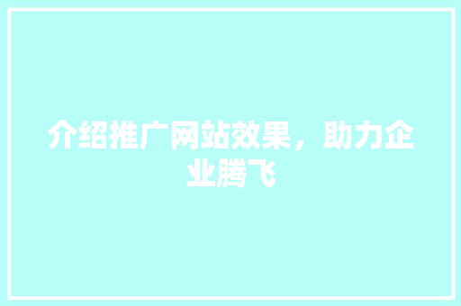 介绍推广网站效果，助力企业腾飞